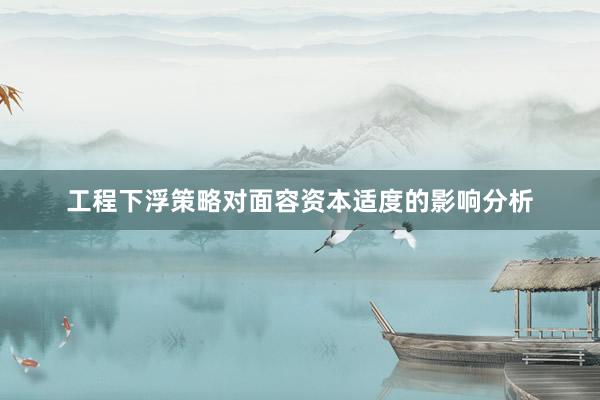 工程下浮策略对面容资本适度的影响分析